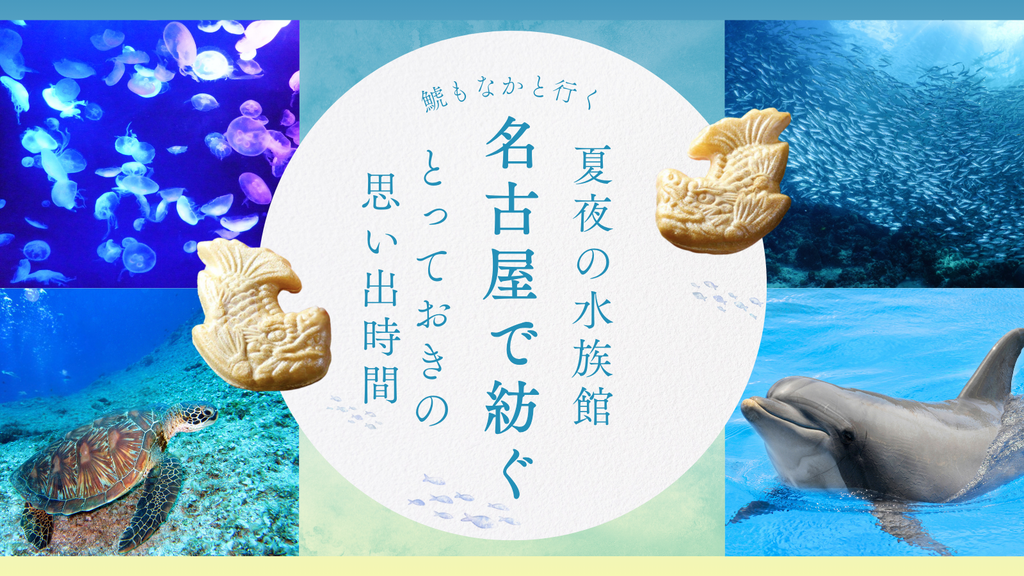 鯱もなかと行く、夏夜の水族館。名古屋で紡ぐ、とっておきの思い出時間
