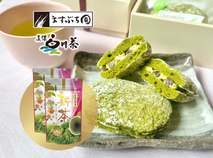【新茶の時期限定】金の緑茶ダックワーズ＆白川新茶セット（5月下旬お届け）