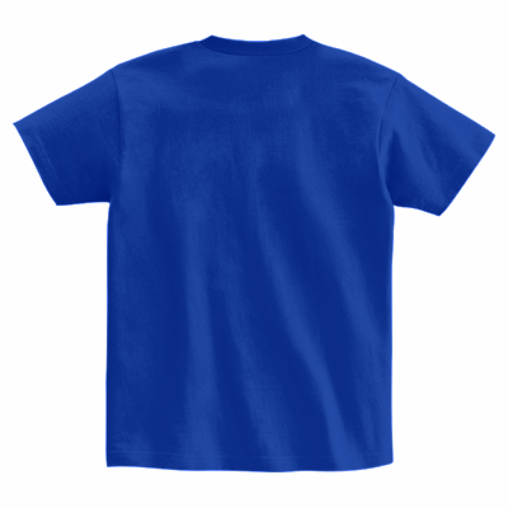 ハンブレッダーズ カレッジ風Tシャツ Mサイズ ロイヤルブルー オリジナルTシャツ「Tradition」◇ロイヤルブルー◇⭐︎前面プリント